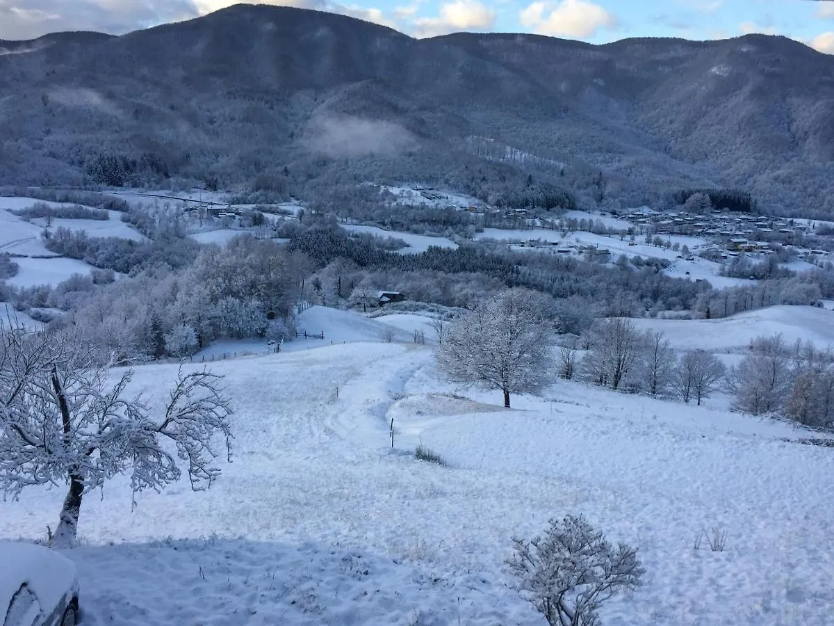 Il Borrino Villa Gavinana Farm stay