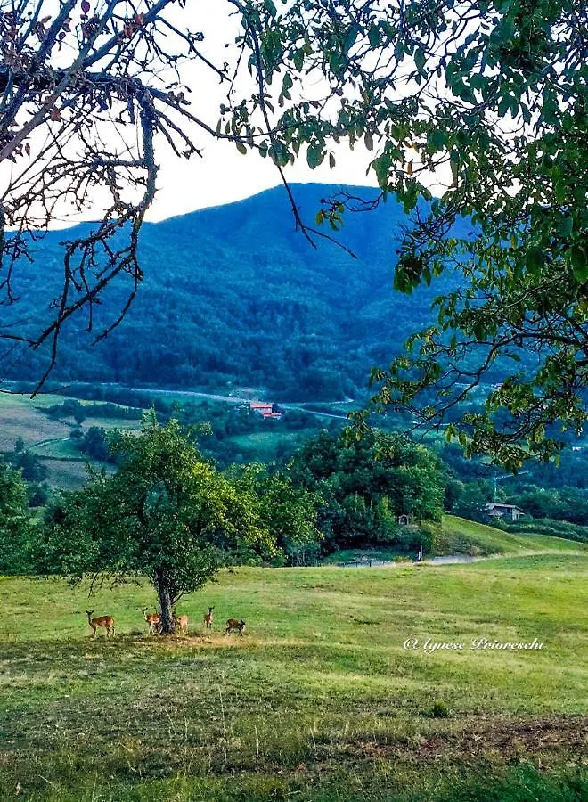 Farm stay Il Borrino Villa Gavinana