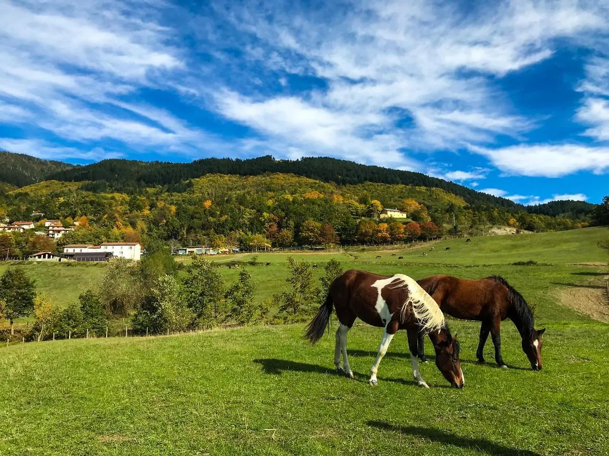Farm stay Il Borrino Villa Gavinana