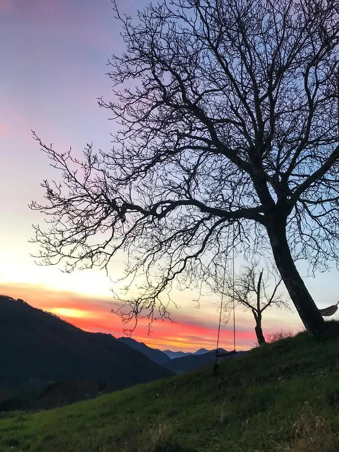 Il Borrino Villa Gavinana Farm stay