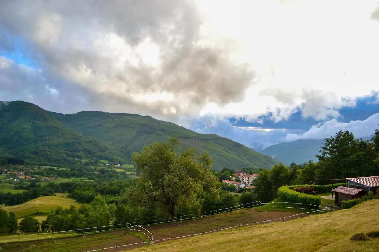 Il Borrino Villa Gavinana 0*,  Italy