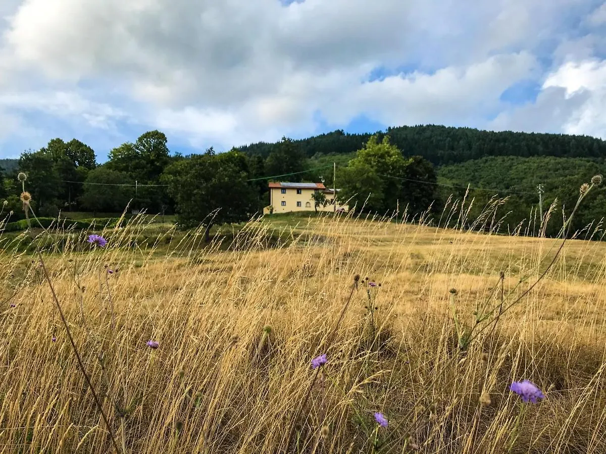 Il Borrino Villa Gavinana Farm stay
