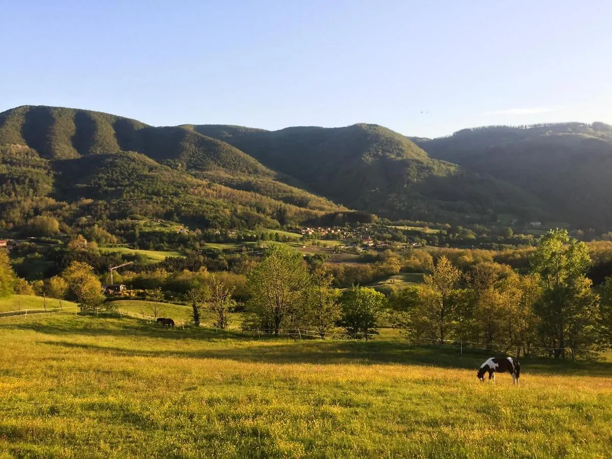 Il Borrino Villa Gavinana Farm stay