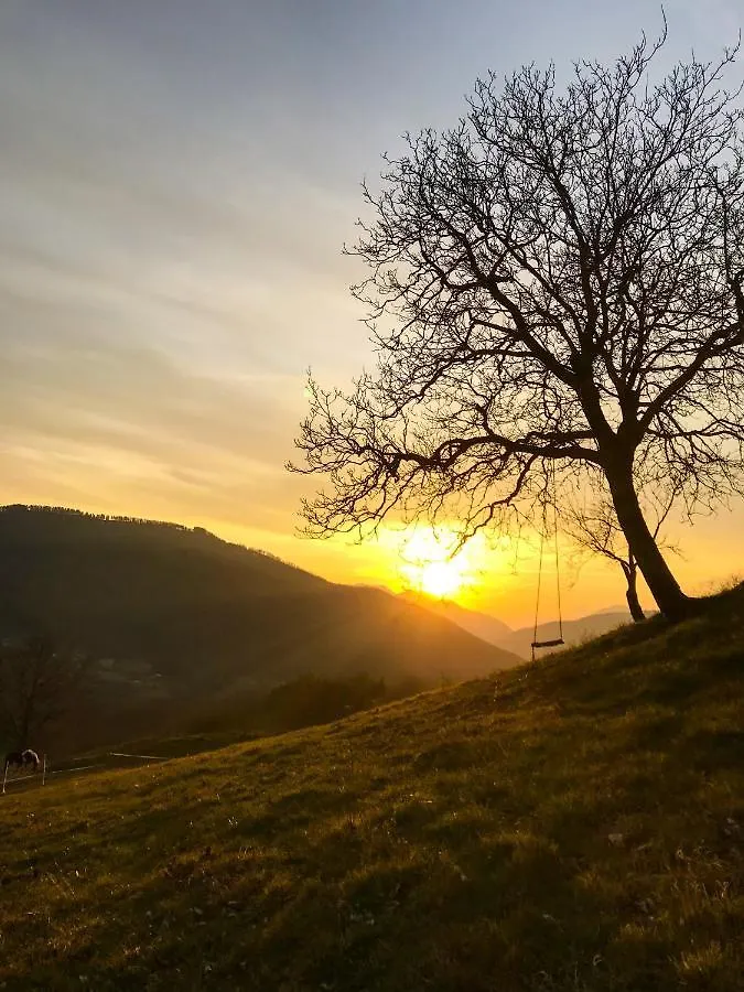 Farm stay Il Borrino Villa Gavinana Italy